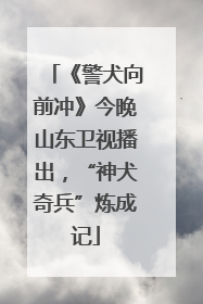 《警犬向前冲》今晚山东卫视播出，“神犬奇兵”炼成记