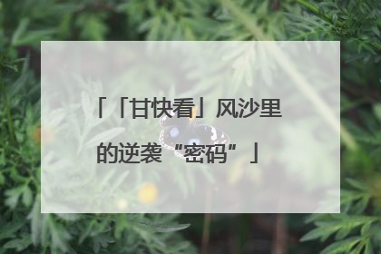 「甘快看」风沙里的逆袭“密码”