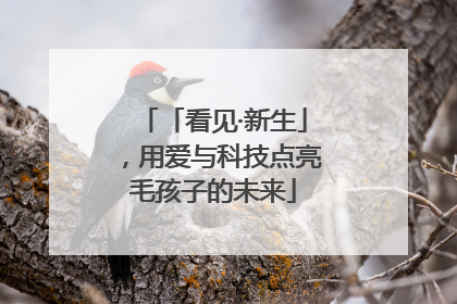 「看见·新生」，用爱与科技点亮毛孩子的未来
