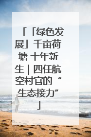 「绿色发展」千亩荷塘 十年新生｜四任航空村官的“生态接力”