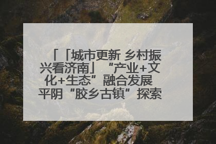 「城市更新 乡村振兴看济南」“产业+文化+生态”融合发展 平阴“胶乡古镇”探索振兴路径成效显著