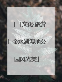 「文化·旅游」金水湖湿地公园风光美