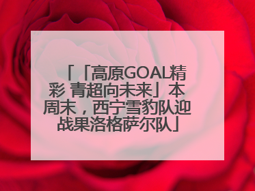 「高原GOAL精彩 青超向未来」本周末，西宁雪豹队迎战果洛格萨尔队