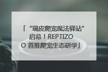 “瑞皮爬宠魔法驿站” 启幕！REPTIZOO 首推爬宠生态研学