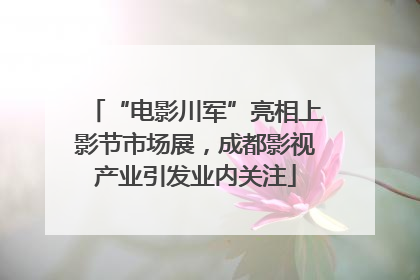 “电影川军”亮相上影节市场展，成都影视产业引发业内关注