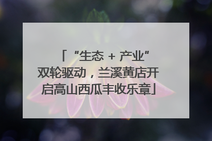 “生态 + 产业”双轮驱动，兰溪黄店开启高山西瓜丰收乐章
