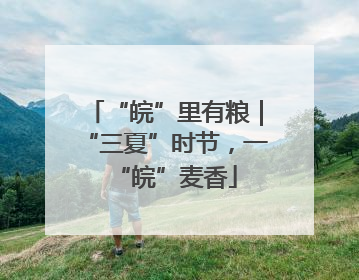 “皖”里有粮｜“三夏”时节，一“皖”麦香