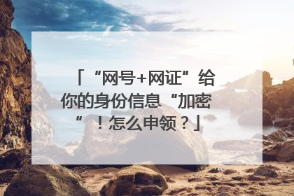 “网号+网证”给你的身份信息“加密”！怎么申领？