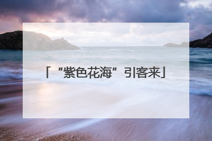 “紫色花海”引客来