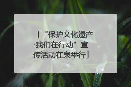 “保护文化遗产·我们在行动”宣传活动在泉举行