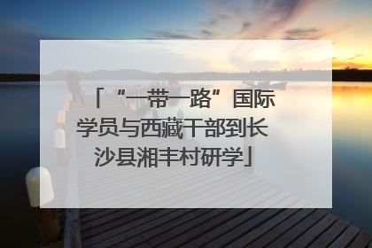“一带一路”国际学员与西藏干部到长沙县湘丰村研学
