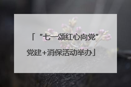 “七一颂红心向党”党建+消保活动举办