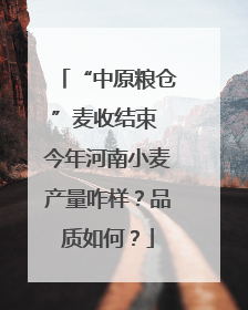 “中原粮仓”麦收结束 今年河南小麦产量咋样？品质如何？