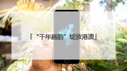 “千年越韵”绽放港澳