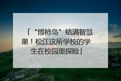 “博柿岛”结满智慧果！松江这所学校的学生在校园里探险