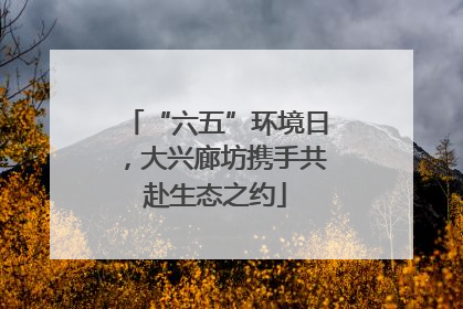 “六五”环境日，大兴廊坊携手共赴生态之约