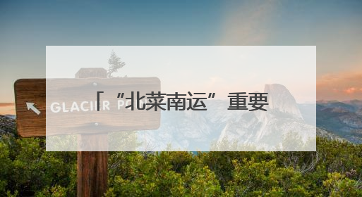 “北菜南运”重要中转枢纽 辽宁新民市打造东北最大产地蔬菜交易中心