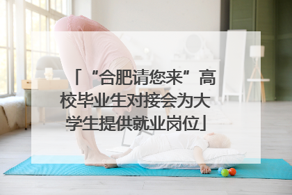 “合肥请您来”高校毕业生对接会为大学生提供就业岗位