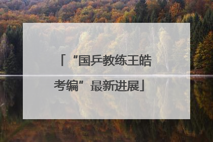 “国乒教练王皓考编”最新进展