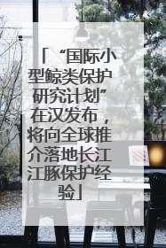 “国际小型鲸类保护研究计划”在汉发布，将向全球推介落地长江江豚保护经验