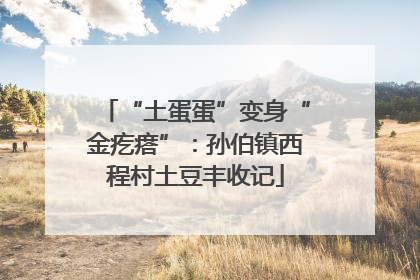 “土蛋蛋”变身“金疙瘩”：孙伯镇西程村土豆丰收记