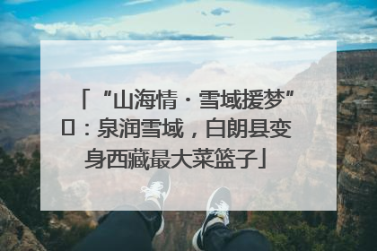 “山海情・雪域援梦”⑪：泉润雪域，白朗县变身西藏最大菜篮子