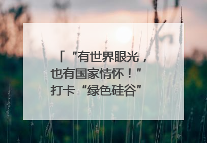 “有世界眼光，也有国家情怀！”打卡“绿色硅谷”，博主新解乐山｜网络名人四川行