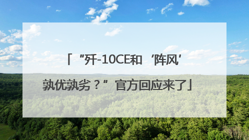 “歼-10CE和‘阵风’孰优孰劣？”官方回应来了