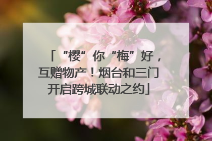 “樱”你“梅”好，互赠物产！烟台和三门开启跨城联动之约