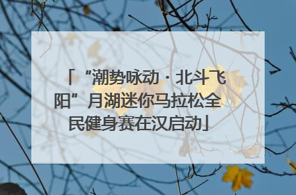 “潮势咏动・北斗飞阳”月湖迷你马拉松全民健身赛在汉启动