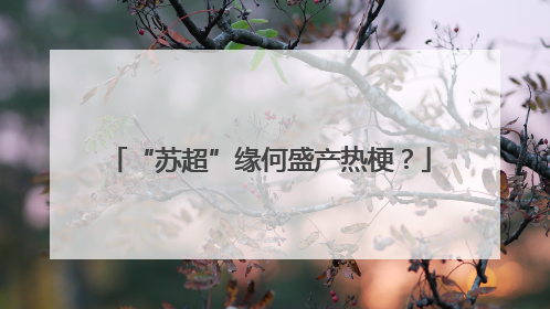 “苏超”缘何盛产热梗？