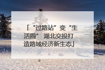 “过路站”变“生活圈” 湖北交投打造路域经济新生态