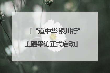 “道中华·银川行”主题采访正式启动