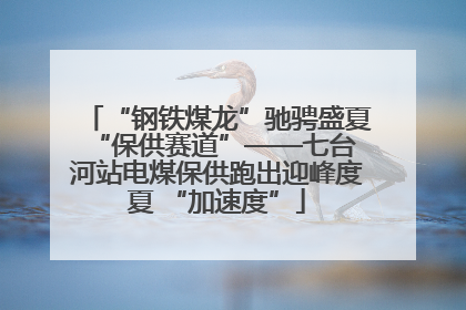 “钢铁煤龙”驰骋盛夏 “保供赛道”——七台河站电煤保供跑出迎峰度夏 “加速度”