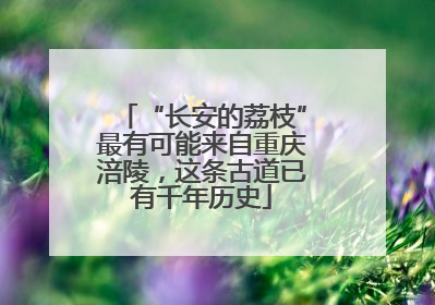 “长安的荔枝”最有可能来自重庆涪陵，这条古道已有千年历史