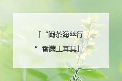 “闽茶海丝行”香满土耳其