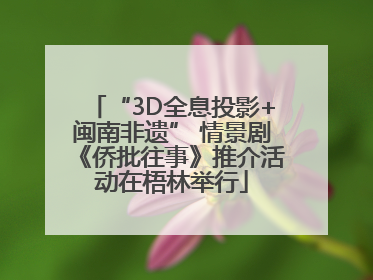 “3D全息投影+闽南非遗” 情景剧《侨批往事》推介活动在梧林举行