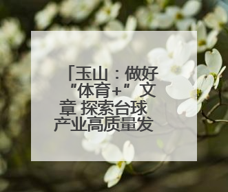 玉山：做好“体育+”文章 探索台球产业高质量发展新路