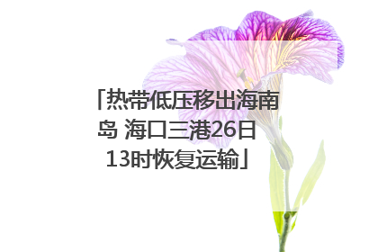 热带低压移出海南岛 海口三港26日13时恢复运输