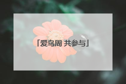 爱鸟周 共参与