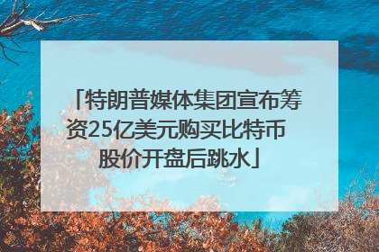 特朗普媒体集团宣布筹资25亿美元购买比特币 股价开盘后跳水
