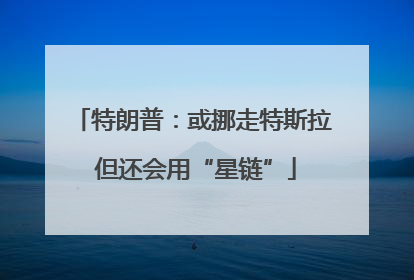 特朗普：或挪走特斯拉 但还会用“星链”