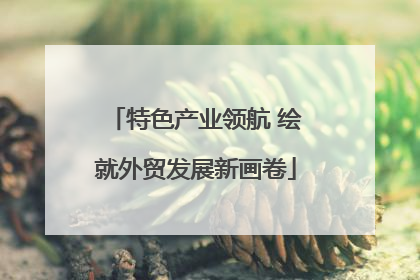 特色产业领航 绘就外贸发展新画卷