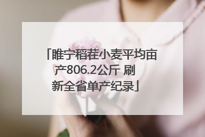 睢宁稻茬小麦平均亩产806.2公斤 刷新全省单产纪录