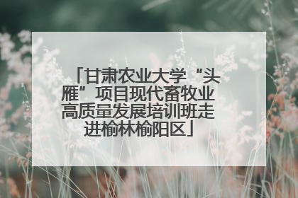 甘肃农业大学“头雁”项目现代畜牧业高质量发展培训班走进榆林榆阳区