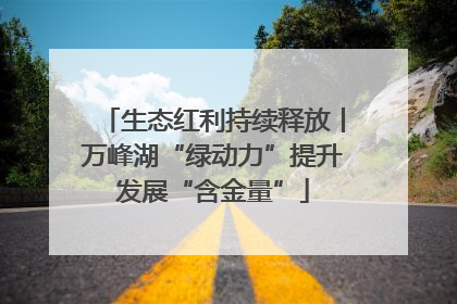 生态红利持续释放丨万峰湖“绿动力”提升发展“含金量”