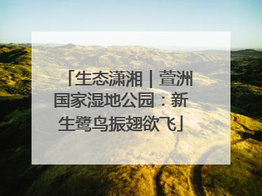 生态潇湘｜萱洲国家湿地公园：新生鹭鸟振翅欲飞