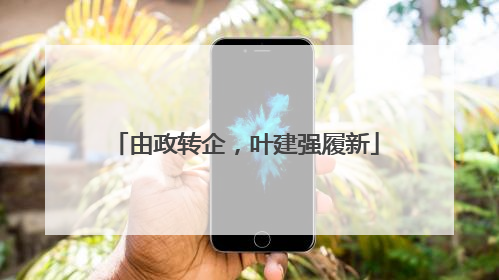 由政转企，叶建强履新