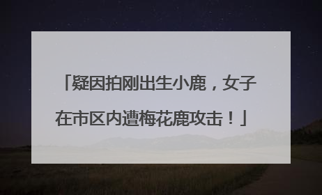 疑因拍刚出生小鹿，女子在市区内遭梅花鹿攻击！