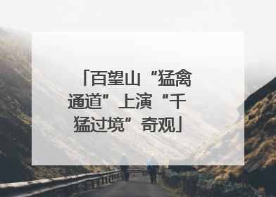 百望山“猛禽通道”上演“千猛过境”奇观